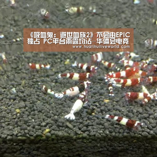 华体会竞猜