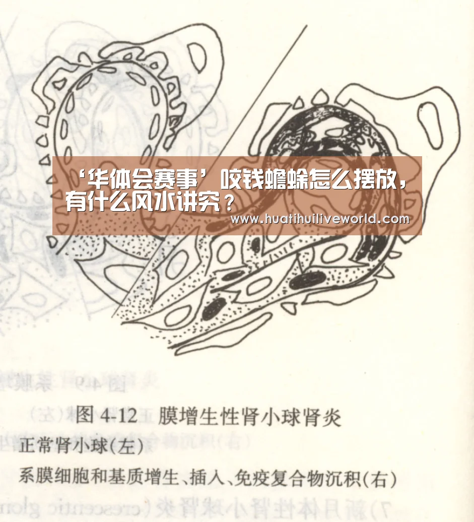 华体会电竞