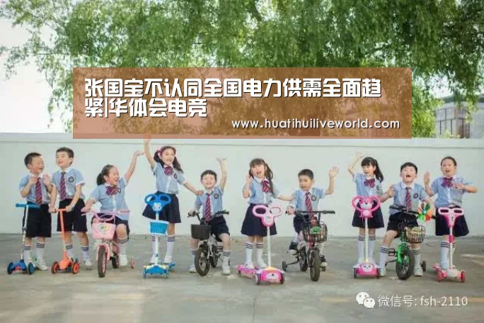 张国宝不认同全国电力供需全面趋紧|华体会电竞(图3) 华体会电竞