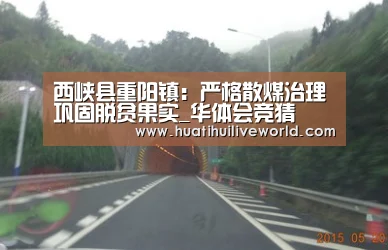 西峡县重阳镇:严格散煤治理巩固脱贫果实_华体会竞猜(图3) 华体会电竞