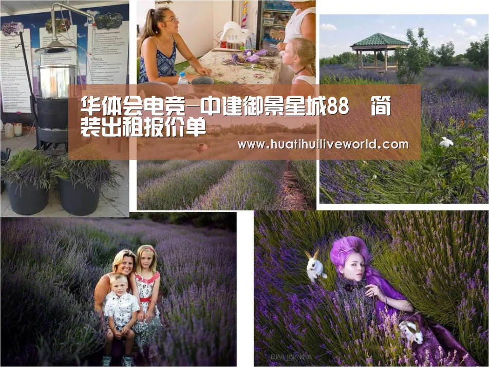 华体会电竞-中建御景星城88㎡简装出租报价单(图1) 华体会竞猜