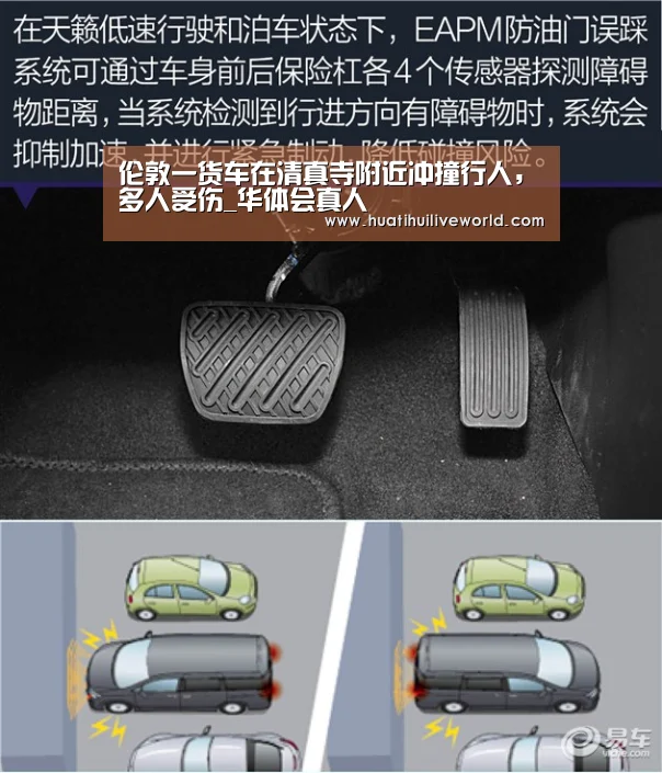 华体会竞猜