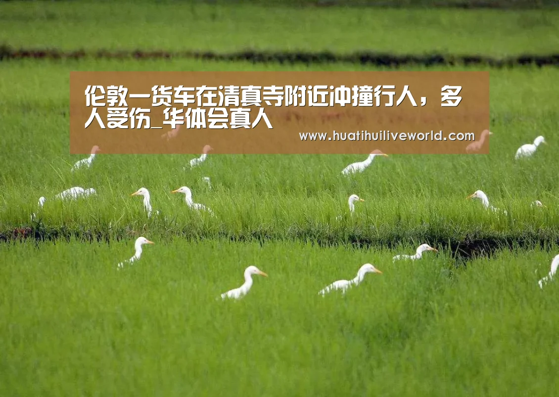 华体会电竞