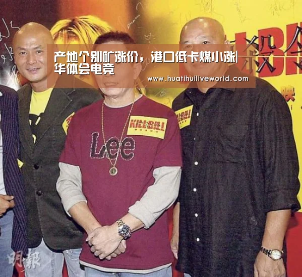 产地个别矿涨价,港口低卡煤小涨|华体会电竞(图3) 华体会电竞